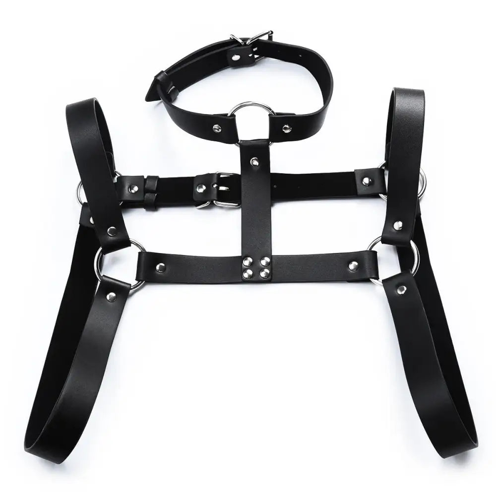 Harness z chokerem - Luxurie